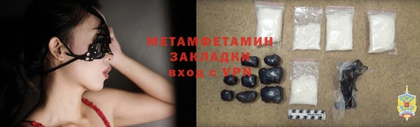 прущие грибы Аркадак
