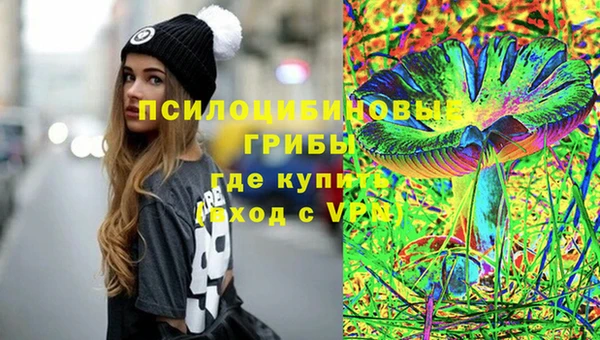 не бодяженный Арсеньев