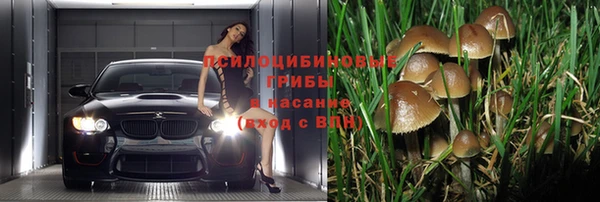 не бодяженный Арсеньев