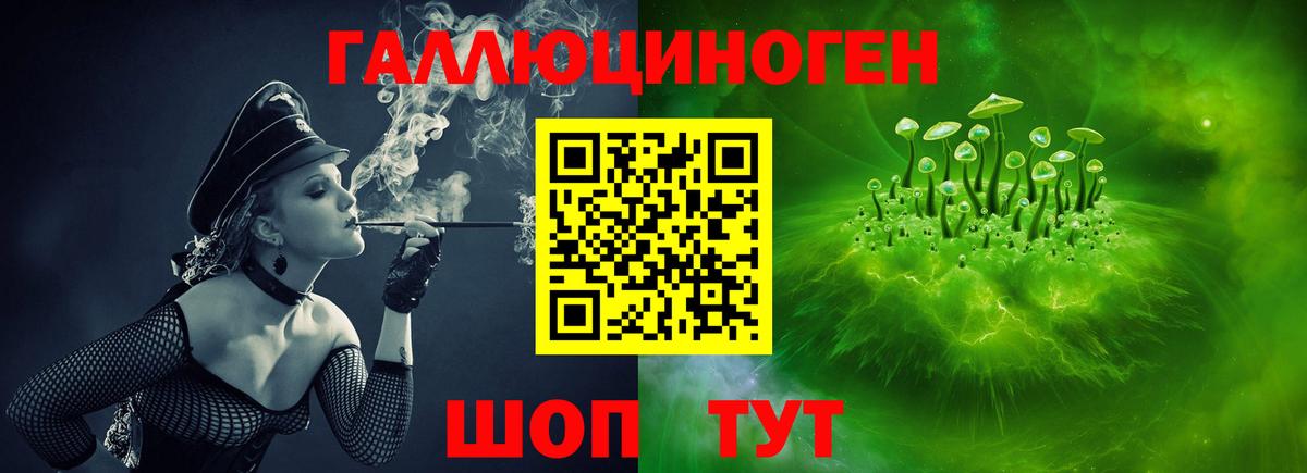 Псилоцибиновые грибы Psilocybine cubensis Волгодонск